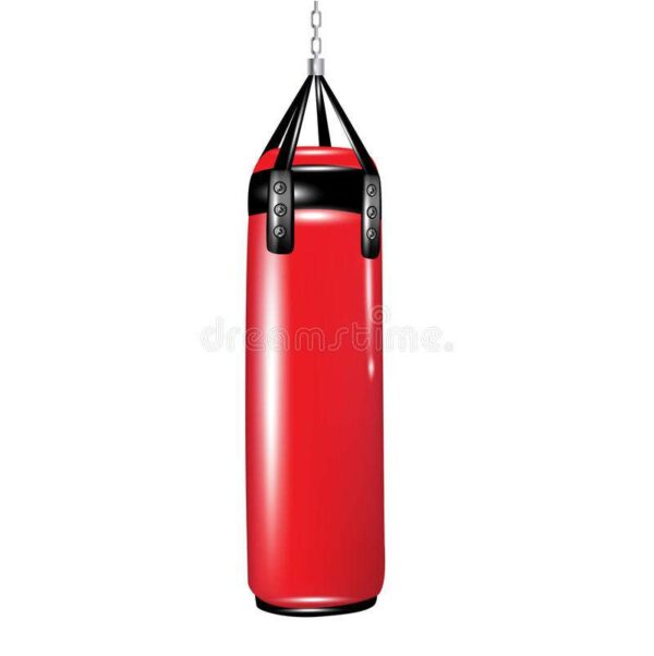 PUNCHING BAGS